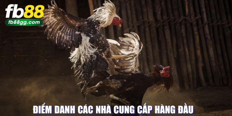 ĐÁ GÀ 2 Nhà cung cấp đá gà FB88 hàng đầu
